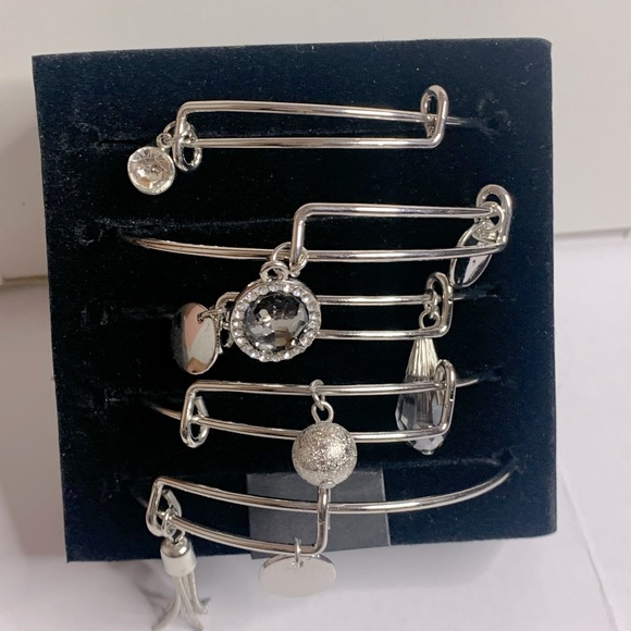 Christopher & Banks Silver Charm Bracelet Set - Picture 1 of 9